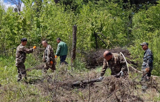 1718094779877755.jpg fcf2b26caeea7a4bf4336a11d2a5d6c.jpg