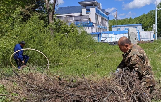 1718094795260142.jpg c725d65717e2361a8d34215891e1a2c.jpg