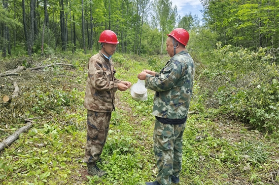 1723535613263927.jpg cdbe4767a6cf46ea924477913eece23c.jpg