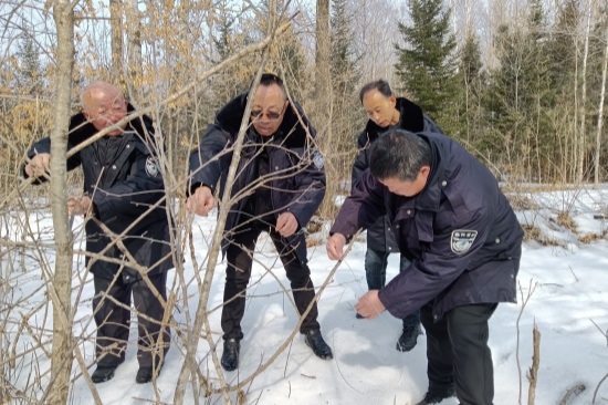 1741827061509875.jpg 明水林場(chǎng)開(kāi)展“清山清套”專(zhuān)項(xiàng)行動(dòng)筑牢野生動(dòng)物保護(hù)屏障(2).jpg