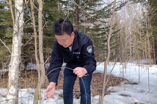 1741827069847404.jpg 明水林場(chǎng)開(kāi)展“清山清套”專(zhuān)項(xiàng)行動(dòng)筑牢野生動(dòng)物保護(hù)屏障(3).jpg