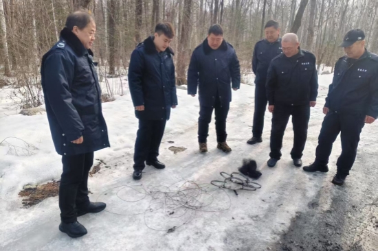 1741833767370867.jpg 大川林場(chǎng)開展“清山清套”專項(xiàng)行動(dòng)守護(hù)野生動(dòng)物家園(3).jpg