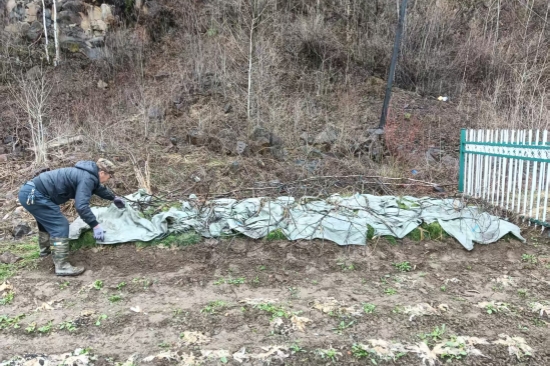 踐行綠色使命 書寫生態(tài)答卷森林資源管護大隊扎實推進春季營林生產(chǎn)工作（2）.jpg