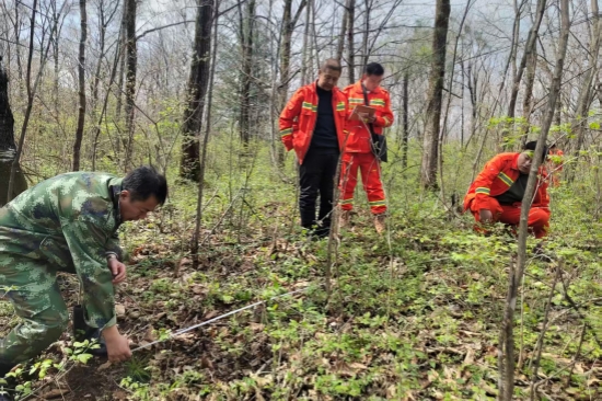 大東林場多措并舉 全力守護(hù)生態(tài)綠色畫卷（1）.jpg
