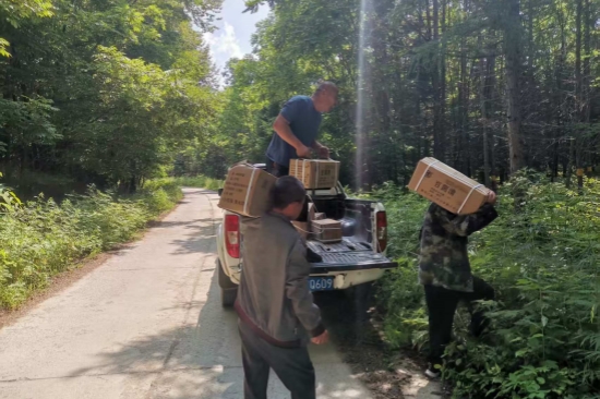 1752563176535732.jpg 大川林場(chǎng)開(kāi)展森林病蟲害防治工作(3).jpg