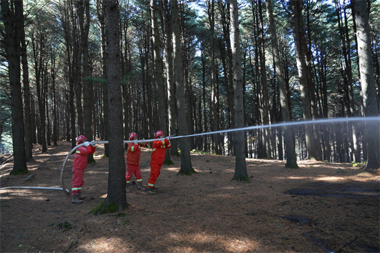 1761809388713480.jpg 興參林場開展實戰(zhàn)化森林滅火演練(2).jpg